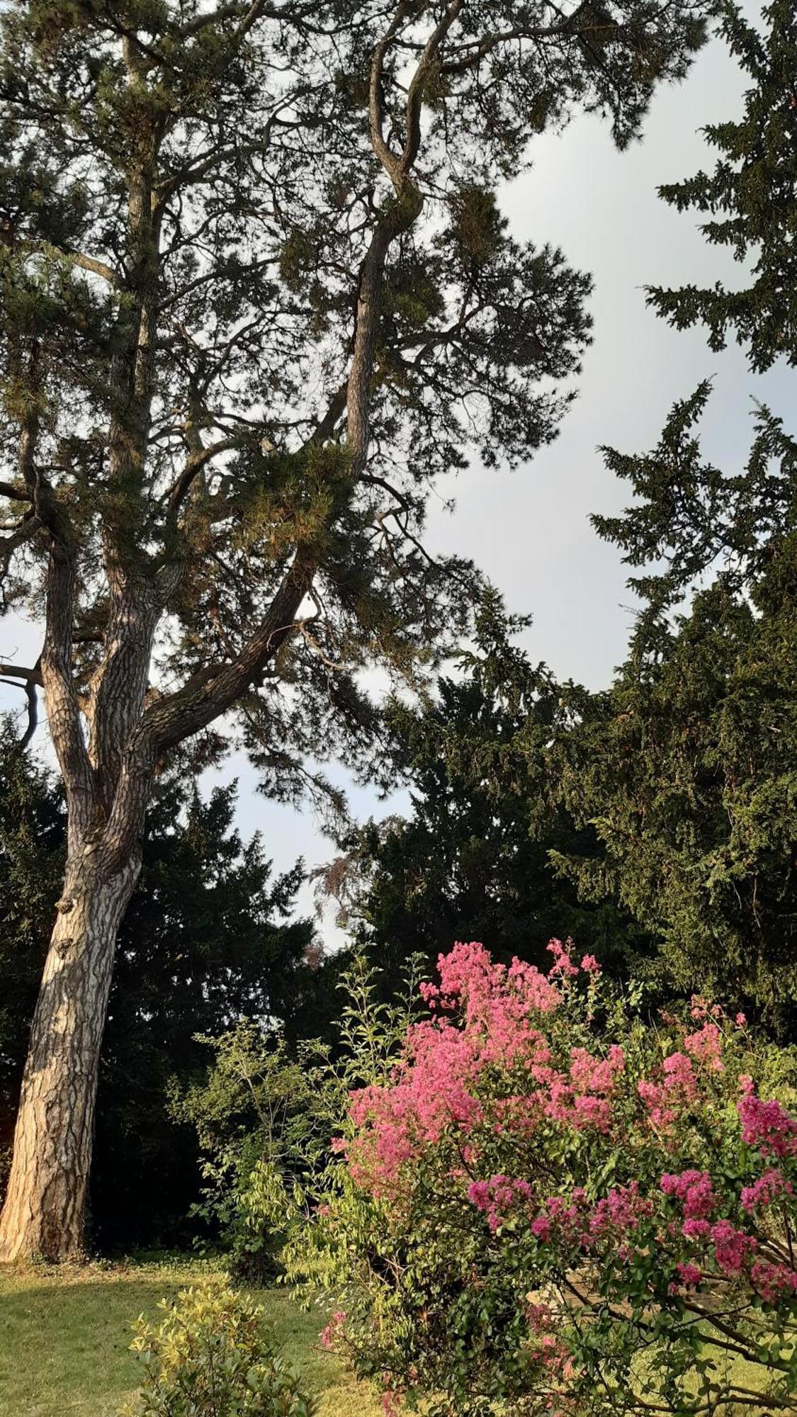 La Heraudiere Bed & Breakfast Tours Buitenkant foto
