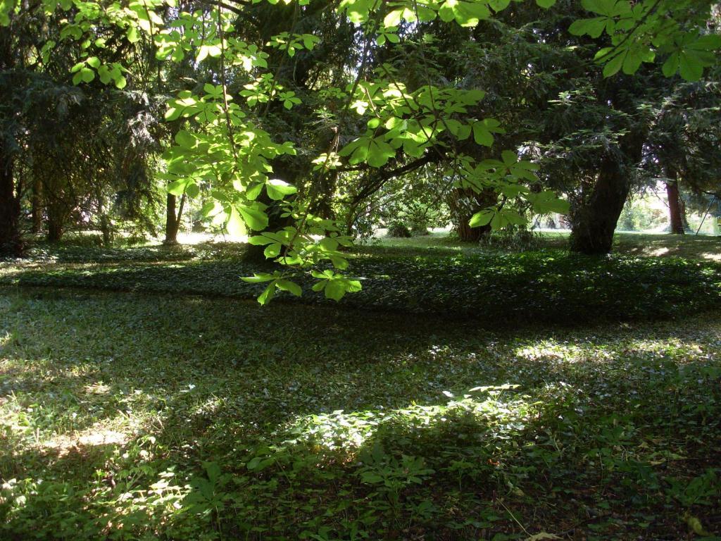 La Heraudiere Bed & Breakfast Tours Buitenkant foto